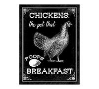 Cartel de metal con texto en inglés "Black Chickens, The Pet That Poops Breakfast", 20 x 30 cm