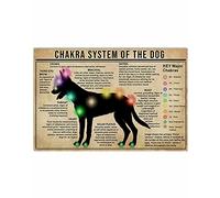 Cartel de metal con texto en inglés "Chakra System of the Dog" para decorar la pared del garaje o el perro divertido para un amigo para tu dulce hogar, 20,3 x 30,5 cm