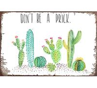 Cartel de metal con texto en inglés "Don't Be A Prick" con temática de cactus para el aula y el profesor, cartel de metal vintage chic para decoración de pared, arte de pared de bar, 15,2 x 20,3 cm