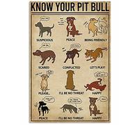 Cartel de metal con texto en inglés "Know Your Pit Bull" para decoración de jardín, hogar, cocina, 8 x 12 pulgadas
