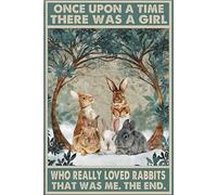 Cartel de metal con texto en inglés "The Rabbits Once Upon A Time There was A Girl Who Really Loved Rabbits It was Me", póster vintage divertido para decoración de pared, regalo de arte retro, letrero