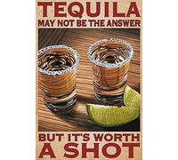 Cartel de metal de aluminio con texto en inglés "Tequila May Not Be The Answer But It'S Worth A Shot" para decoración de pared de 8 x 6 pulgadas