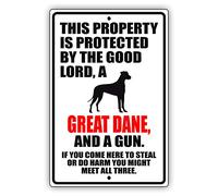 Cartel de metal de estaño con texto en inglés "This Property Is Protected By The Good Lord A Great Dane" (30,5 x 20,3 cm)