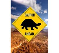 Cartel de metal de estilo australiano, señal de carretera, cartel de advertencia de tortuga, 30 x 30 cm