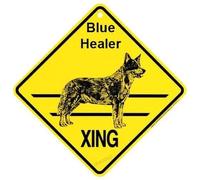 Cartel de metal de metal con texto en inglés "Blue Heeler Xing Caution Crossing Sign" para decoración de pared interior y exterior, 8 x 8 pulgadas, letrero cuadrado