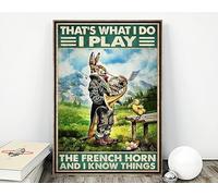 Cartel de metal retro de 20,3 x 30,5 cm, con texto en inglés "That's What I Do I Play The French Horn and I Know Things", póster divertido de conejo, regalo para amantes de los conejos, arte de pared