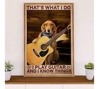 Cartel de metal retro de 20,3 x 30,5 cm, Golden Retriever I Play Guitar & Know Things, póster musical de guitarra, regalo para guitarrista, divertida decoración de pared, arte nostálgico, manualidades