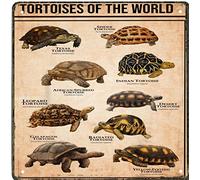 Cartel de metal rústico retro con texto en inglés Tortugas del mundo, tipo de tortugas, póster de conocimiento de tortuga, decoración de pared de tortuga, arte de pared de tortuga, decoración del