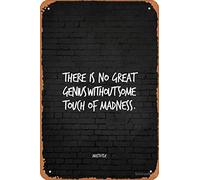 Cartel de metal vintage con texto en inglés "There is no great genius without some touch of madness" - Póster de Aristóteles de metal vintage de 30,5 x 20,3 cm
