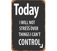 Cartel de metal vintage con texto en inglés «Today I Will Not Stress Over Things I Can't Control» (30,5 x 20,3 cm)