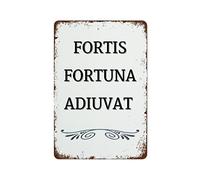 Cartel de metal vintage para decoración de pared, arte de pared con texto en inglés "Fortune Favors The Bold" - Póster retro con cita inspiradora, impresión artística para decoración de habitación