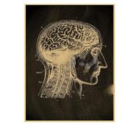 Cartel de pizarra anatomía impresiones partes del cuerpo corazón mano pie dibujo Vintage hogar habitación arte decoración pared pintura(3,A3 16.5x11.8inch)