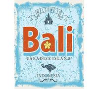Cartel decorativo de lata con texto en inglés «Welcome To Bali Paradise Island», de 20 x 30 cm, para decoración de casa, cocina, baño, granja, jardín, garaje, citas inspiradoras, decoración de pared