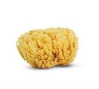 Cartel Paris Esponja Natural de Mar 8cm 1ud