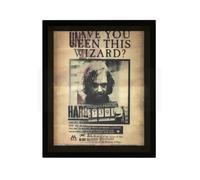 Cartel Harry Potter 3D Harry / Sirius