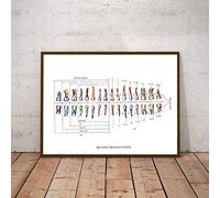 Cartel Médico Vintage De Dientes Humanos,Clínica Dental,Decoración De Arte De Pared,Anatomía Dental Humana,Impresiones Educativas,Pintura En Lienzo,Carteles E Impresiones - 50X70Cm