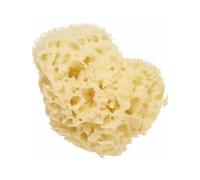 Cartel Paris Esponja Natural de Mar 11cm 1ud