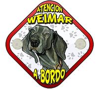 Cartel perro a bordo atención Weimar