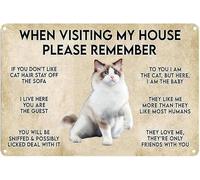 Cartel vintage de hojalata de aluminio con texto "Cuando visites mi casa, recuerda a tu gato", 30 x 40 cm, decoración de pared