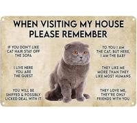 Cartel vintage de hojalata de aluminio con texto "Cuando visites mi casa, recuerda a tu gato", 8 x 12 pulgadas, para decoración de pared