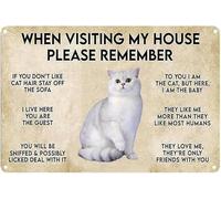 Cartel vintage de metal y aluminio con la frase "Cuando visites mi casa, recuerda al gato", 8 x 6 pulgadas, para decoración de pared.
