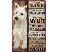 Carteles Metal, Vintage Cartel Metálico, Perro Soy Tu Amigo Tu Compañero Tu, Placa Metálica para Cocina Sala De Estar Bar, 20X30Cm