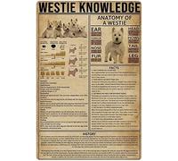 Carteles retro con información sobre Westie, letreros metálicos, infografías sobre Westie, carteles de hojalata, perros, infografías de ciencia popular, placas guía, decoración de pared para el hogar,