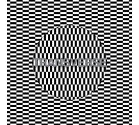 Carter Tutti Void - Transverse