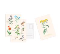 Cartes postales: Une collection de 10 cartes postales autour des fleurs
