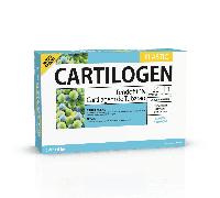 Cartilogen Elastic 20 Ampollas Dietmed