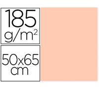 Carton Guarro 185 Gr 50X65 cm Carne