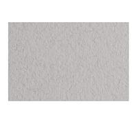 Cartón Tiziano Niebla 50 FG A4 160 GR 1PZ