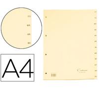 Cartonex Separadores de Cartón Mes Ene-Dic