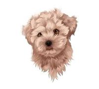 Cartoon Animals Children Temporary Tattoo Sticker Small Waterproof Fake Body Art Tattoos Cute Dog Cat(006)