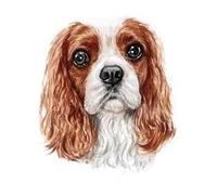 Cartoon Animals Children Temporary Tattoo Sticker Small Waterproof Fake Body Art Tattoos Cute Dog Cat(002)