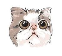 Cartoon Animals Children Temporary Tattoo Sticker Small Waterproof Fake Body Art Tattoos Cute Dog Cat(020)