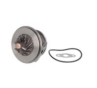 Cartucho / CHRA / Conjunto de núcleo EVORON EVCH0030