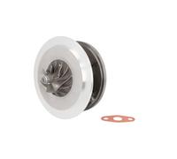 Cartucho / CHRA / Conjunto de núcleo, turbocompresor EVORON EVCH0101