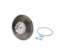 Cartucho / CHRA / Conjunto de núcleo, turbocompresor EVORON EVCH5001
