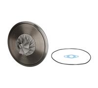 Cartucho / CHRA / Conjunto de núcleo, turbocompresor EVORON EVCH5007