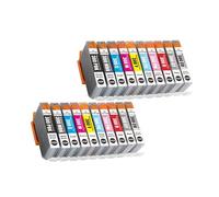Cartucho de Tinta de inyección de Tinta de Color Compatible Premium PFI300 PFI-300 PFI 300, Compatible con Impresora Canon ImagePROGRAF PRO-300(2 Set)