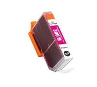 Cartucho de Tinta de inyección de Tinta de Color Compatible Premium PFI300 PFI-300 PFI 300, Compatible con Impresora Canon ImagePROGRAF PRO-300(1pcs Magenta)