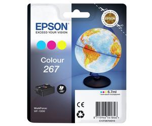 Cartucho De Tinta Epson Globe Singlepack Color 267