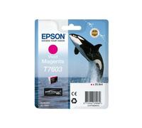 Epson T7603 cartucho magenta (original)