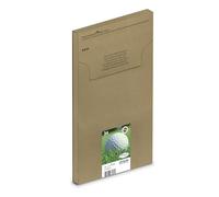 Cartucho individual de tinta original Epson Bola de golf DURABrite 34XL con etiqueta de seguridad - Cartucho negro - 1 נ16,3 ml - Fabricado por Epson para garantizar unos resultados óptimos