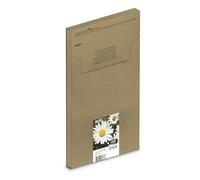 Epson T1811 Cartucho de Tinta Negro XL