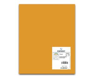 Cartulina CANSON Iris Vivaldi 50 x 65 cm. 185 gr. Cuero, Pack x25
