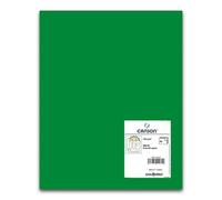 Cartulina CANSON Iris Vivaldi A3 185 g. Paquete x50 Color Verde Abeto