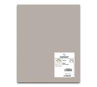 Cartulina CANSON Iris Vivaldi Din-A4 185 gr. Gris Perla, Pack x50