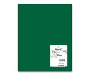 Cartulina CANSON Iris Vivaldi Din-A4 185 gr. Verde Amazonas, Pack x50